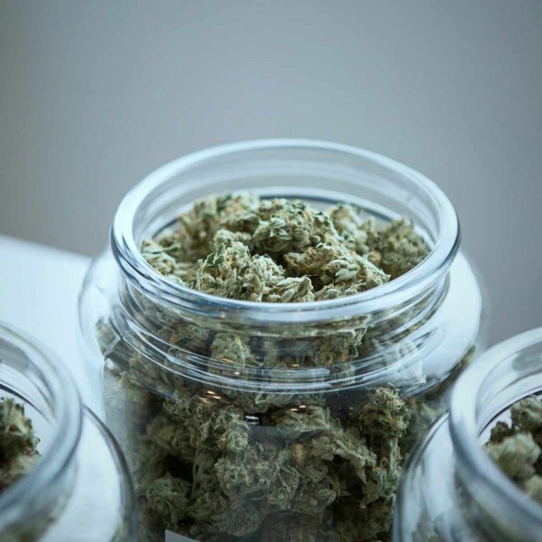 Lire la suite à propos de l’article ⭐ FAQ – Séchage et curing du CBD