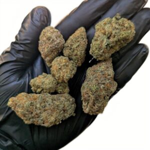 God Father OG tetes bud cali weneed indoor hydro led