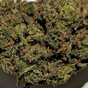 Fleur cbd buddha cheese trichomes indoor hydro suisse