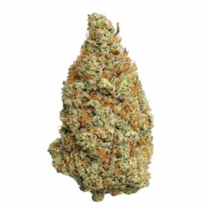 God Father OG cali weneed indoor hydro led