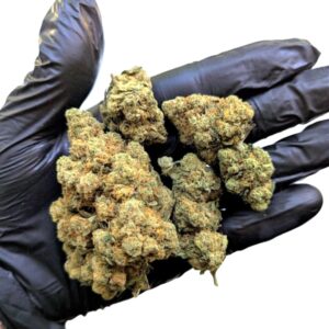 fleur amnesia haze bud hydro indoor suisse cbd