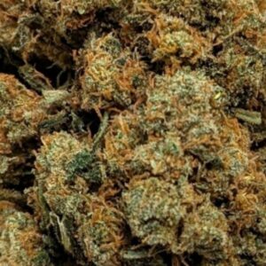 fleur amnesia haze trichomes hydro indoor suisse cbd