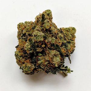 Amnesia Haze fleur indoor - hydro