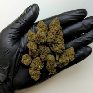 fleur cbd berry pie bud weneed glass house