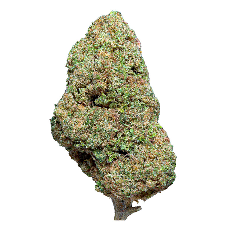 fleur CBD Critical Berry Weneed greenhouse
