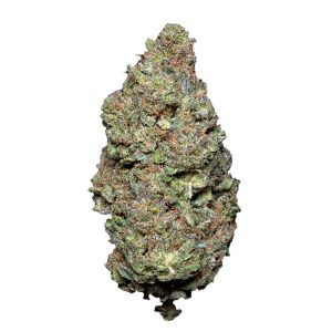 Galactic Crunch fleur CBD Glasshouse + HPS