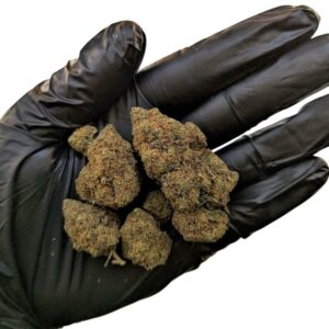 fleur cbd purple gaz bud hydro indoor suisse