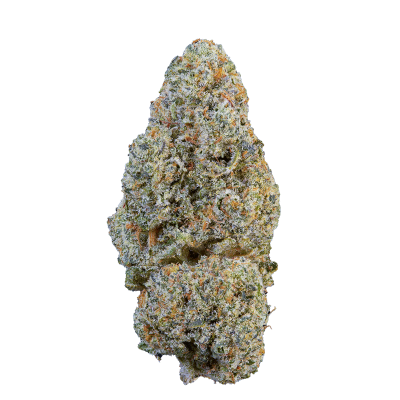 fleur CBD Snowing In Dam indoor
