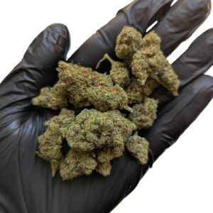 fleur cbd white diesel bud indoor hydro suisse