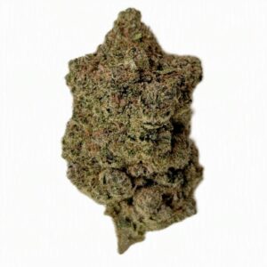 fleur white diesel cbd bud indoor hydro suisse