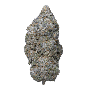 Fleur CBD Legendary Skunk indoor Weneed