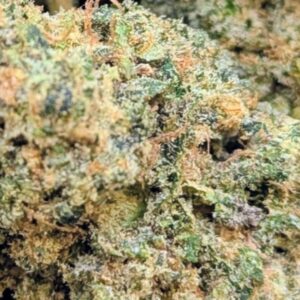 legendary skunk weneed fleur cbd winner spannabis indoor hydro led