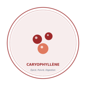 terpene caryophyllene epice poivre digestion