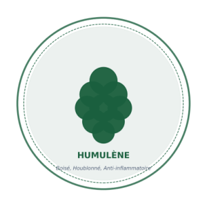 terpene humulene boise houblon anti inflammatoire
