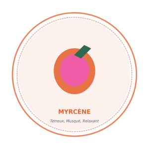 terpene myrcene relaxant terreux musque