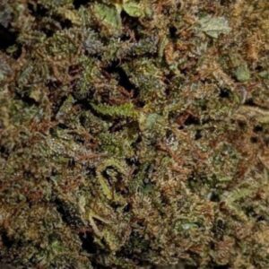 fleur Silly Berry trichomes glasshouse hps cbd weneed