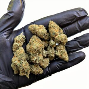 fleur cbd bubbles cheese indoor hydro led weneed