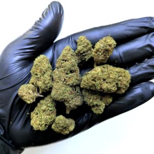 fleur cbd super silver haze glasshouse hps weneed