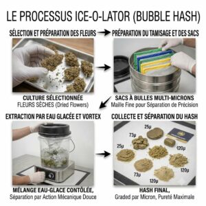 methode processus ice o lator-bubble hash pure option cbd