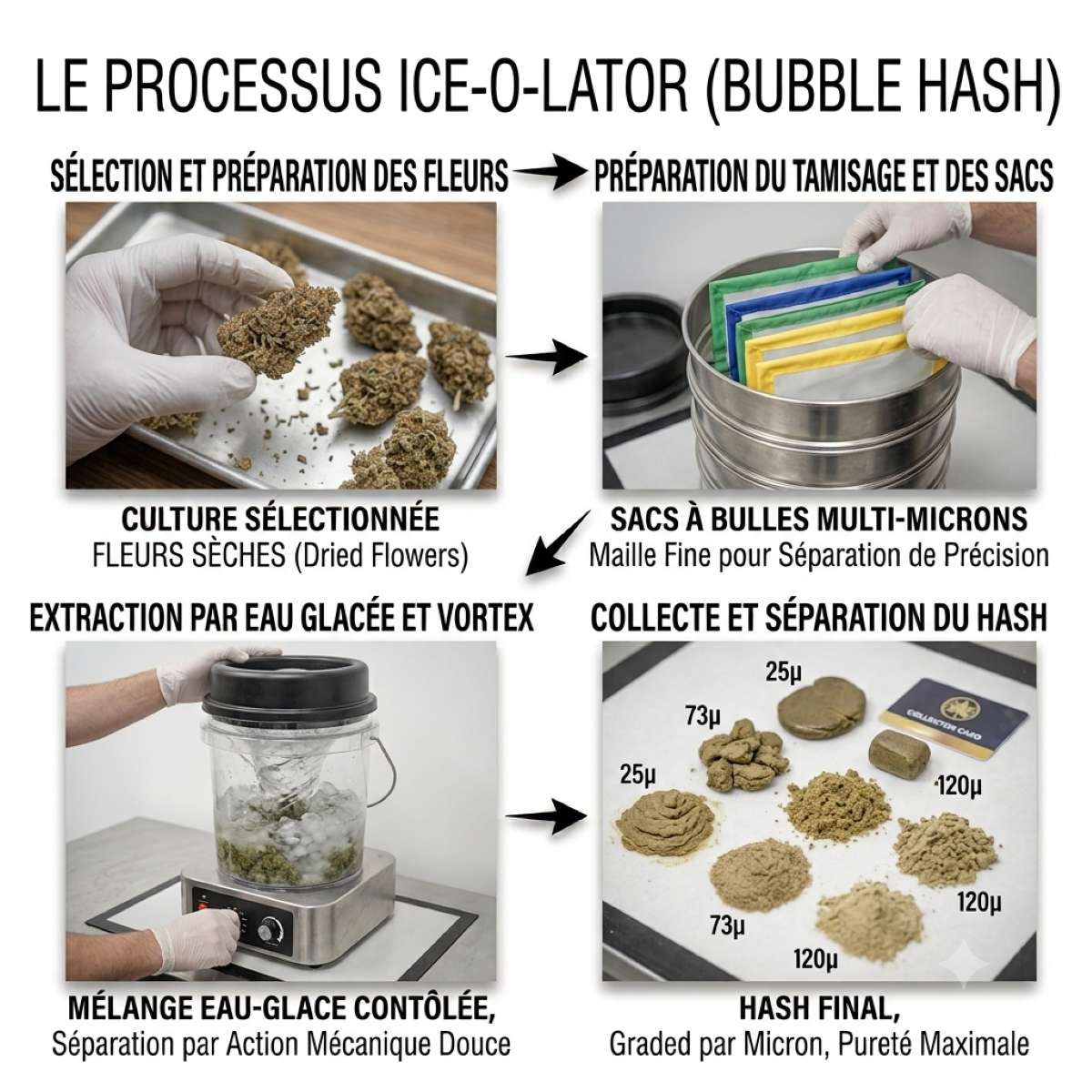 methode processus ice o lator-bubble hash pure option cbd