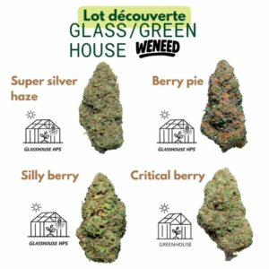 Lot decoucerte decouverte fleur glass green house cbd weneed