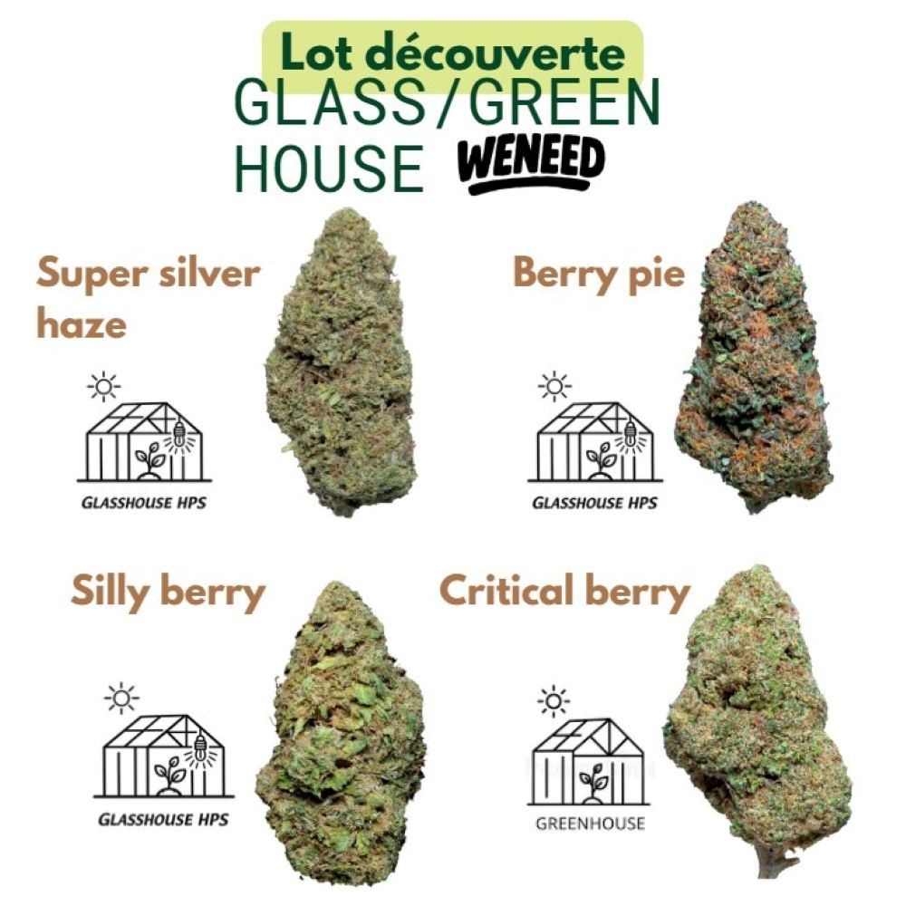 Lot decoucerte decouverte fleur glass green house cbd weneed