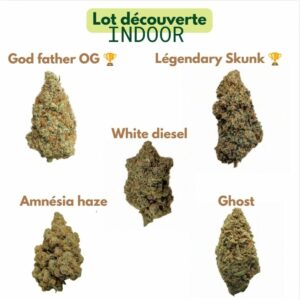 Lot decoucerte decouverte fleur indoor hydro cbd